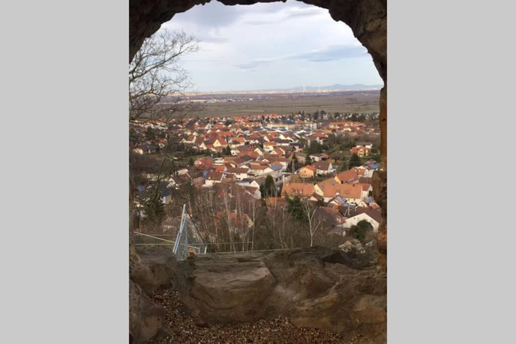 Wunderschöne Wohnung mit Blick auf die Weinberge Neustadt an der Weinstraße Exterior foto