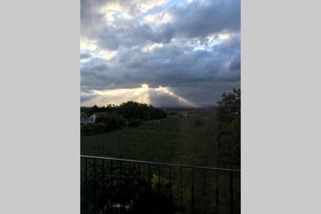 Wunderschöne Wohnung mit Blick auf die Weinberge Neustadt an der Weinstraße Exterior foto